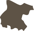 Celaya